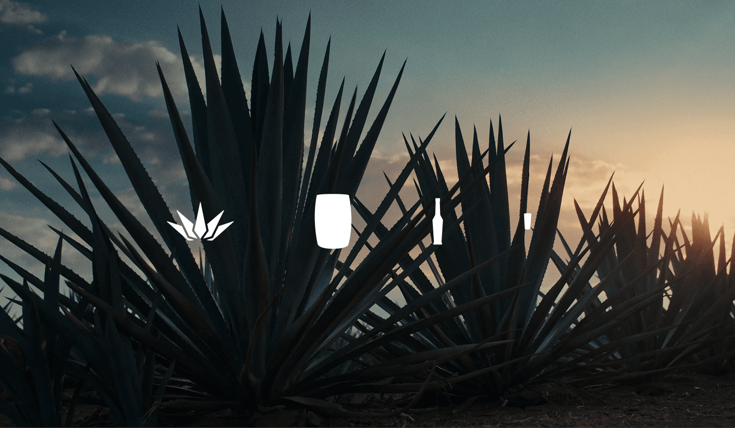 Imagen 4 de Altura Divina Tequila