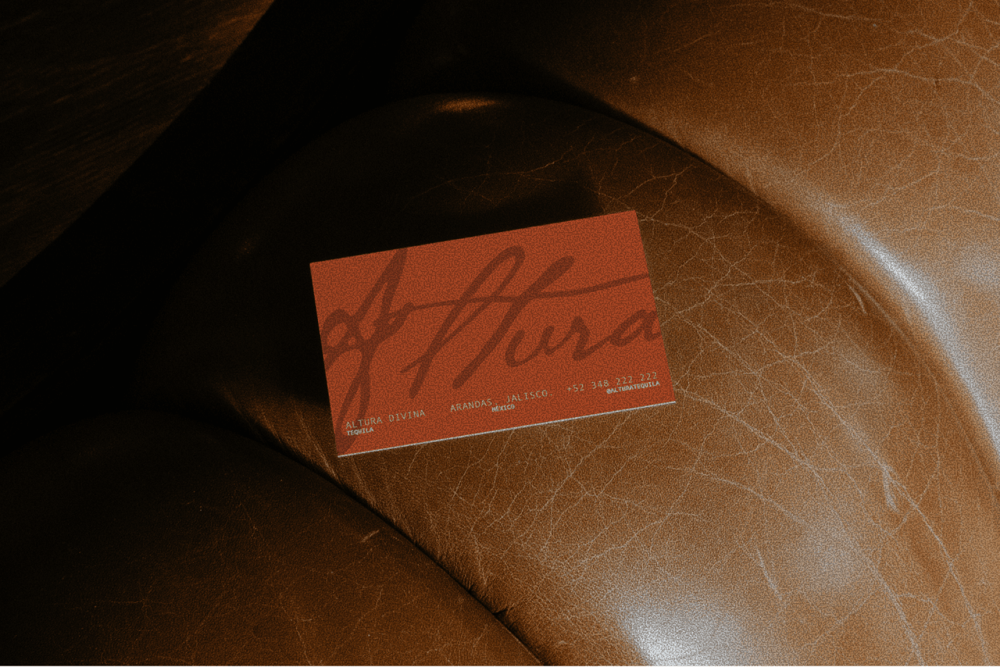 Imagen 9 de Altura Divina Tequila