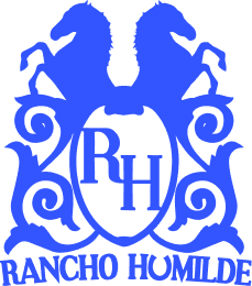 Logo 3