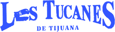 Logo 13